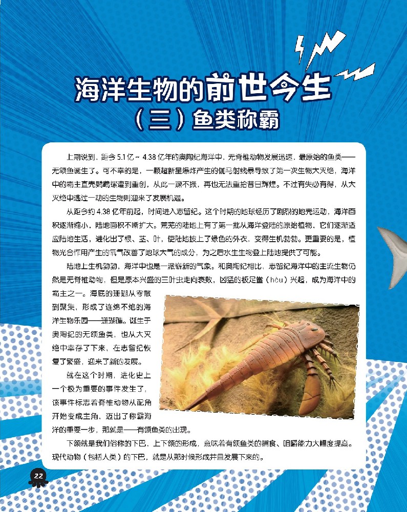 海洋生物的前世今生（三）